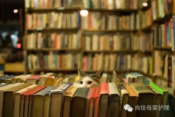 家政服務(wù)員中五大錯誤要點(diǎn)，您中招了嗎？